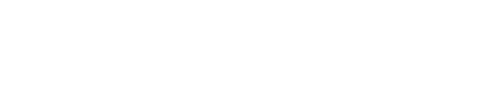 Pure Chimney Sweep — expert chimney & fireplace services