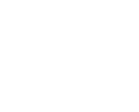 Pure Chimney Sweep — expert chimney & fireplace services